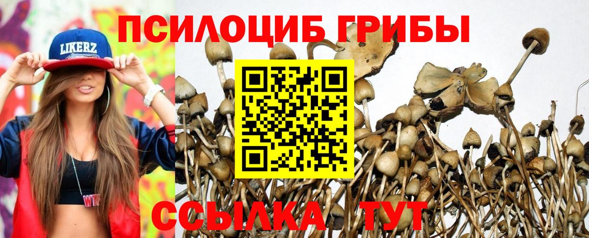 Сальск  Галлюциногенные грибы мицелий  Вход с VPN 